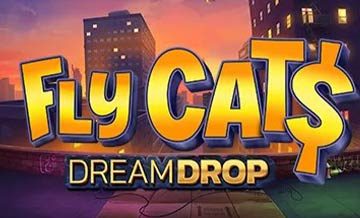 Fly Cats Dream Drop